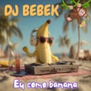 DJ BEBEK